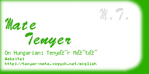 mate tenyer business card